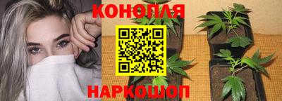 прущая мука Севастополь