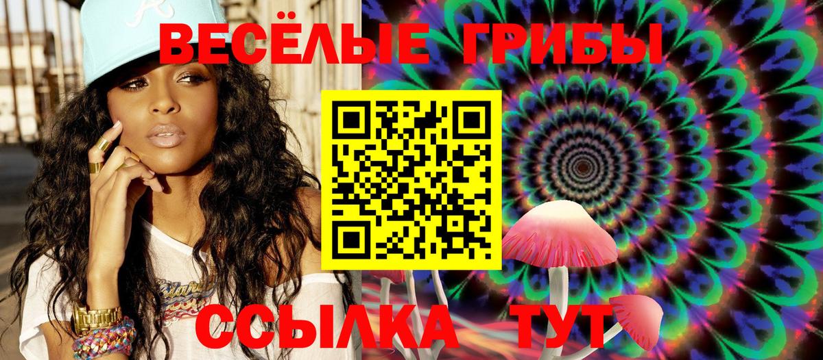 где можно купить   Галлюциногенные грибы ЛСД  Вход с VPN  Россошь 